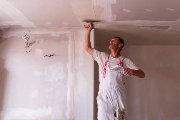  Plainview, TX Drywall and Painting Service Pros